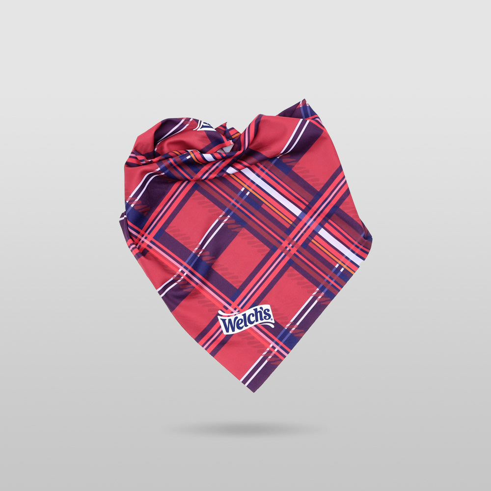 Welch's Holiday Pet Bandana